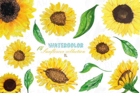 Download Sunflowers Watercolor Decor Elements Png - Flowers Collection