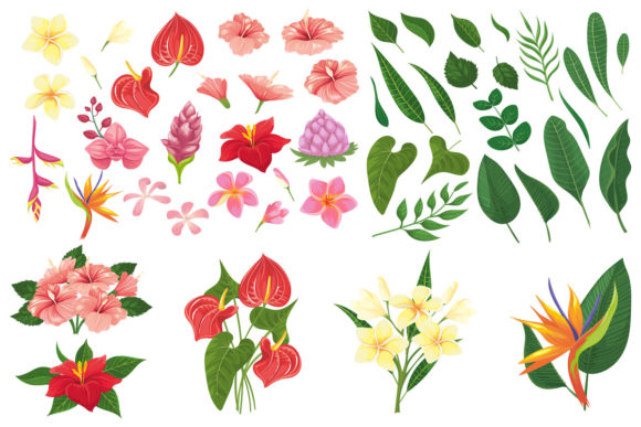Download Tropic Forest Flowers - Flowers Collection