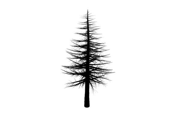 Download Seasonal Clipart Symbol - Seasonal clipart Collection